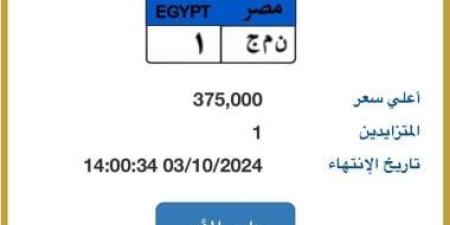 طرح لوحة "ن م ج- 1" المميزة بالمزاد وسعرها يصل 375 ألف جنيه