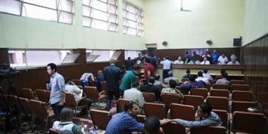 إحالة أوراق متهم بقتل شاب فى المعادى للمفتى.. والنطق بالحكم 26 أبريل